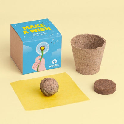 Make a Wish Growing Kit | Resetea