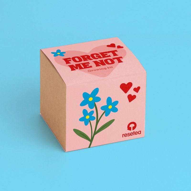 Forget me not  Growing Kit | Resetea