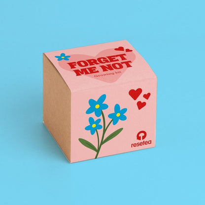 Forget me not  Growing Kit | Resetea