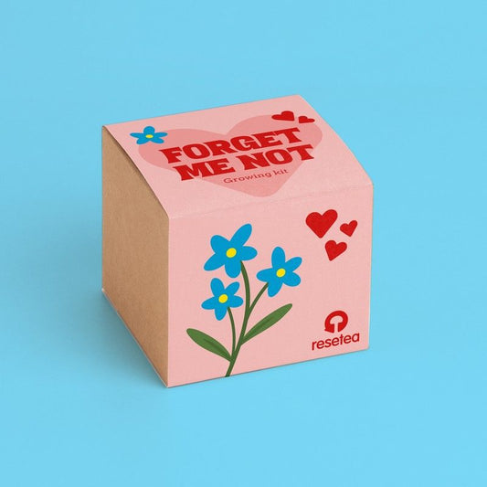 Forget me not  Growing Kit | Resetea