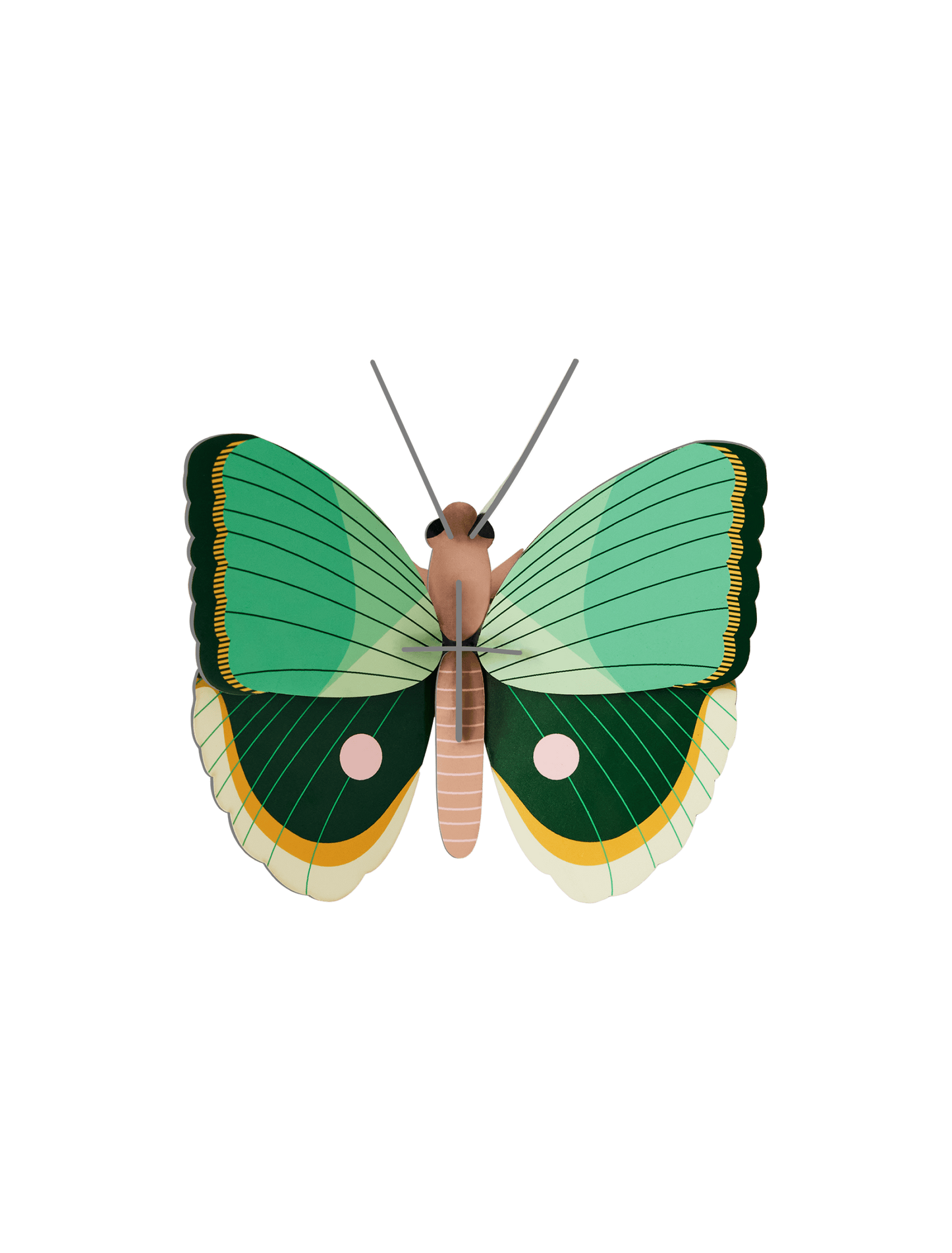 Fern Striped Butterfly - wall art | Studio Roof