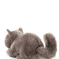 Freddy the british shorthair in giftbox | B.T.Chaps