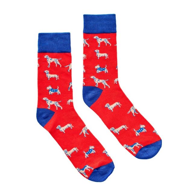 Storage Tin & Sock Set - Dogs | Gentlemen's hardware