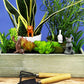 Yoga cats voor plantenpot | Gift Republic