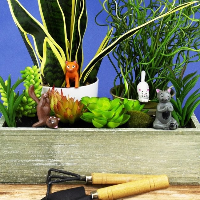 Yoga cats voor plantenpot | Gift Republic - de inKijk