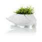 Hedgehog planter | Bitten design