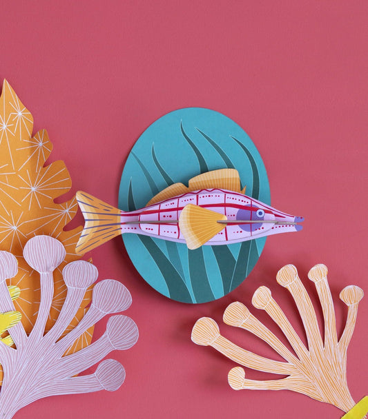 Longnose Hawkfish | Studio Roof - de inKijk