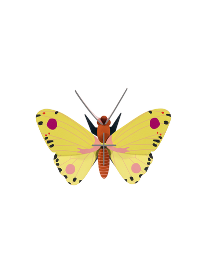 Luzerne Butterfly - wall art | Studio Roof
