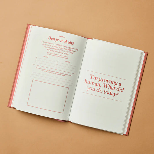 Zwangerschapsboek - Hallo, mini wonder | Stratier