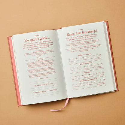 Zwangerschapsboek - Hallo, mini wonder | Stratier
