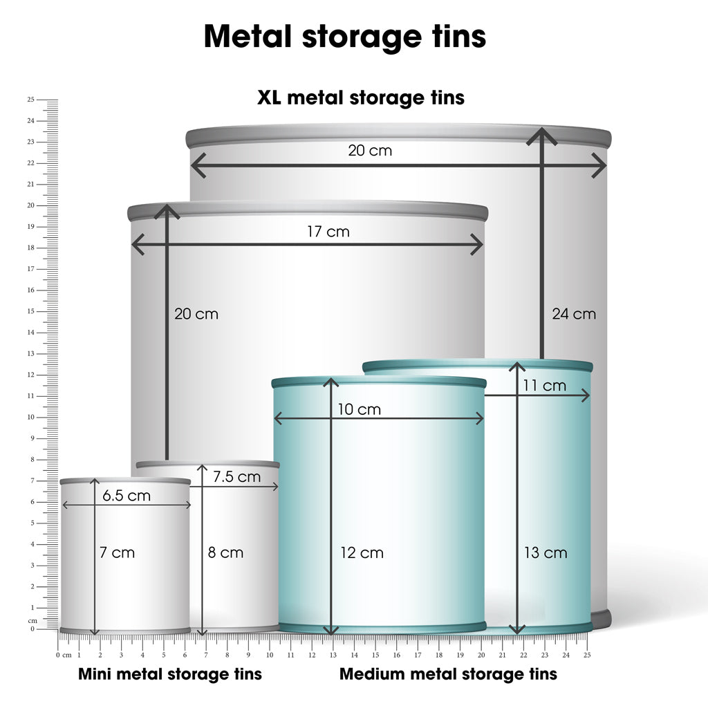Medium storage tins - set of 2 - fish | Rex
