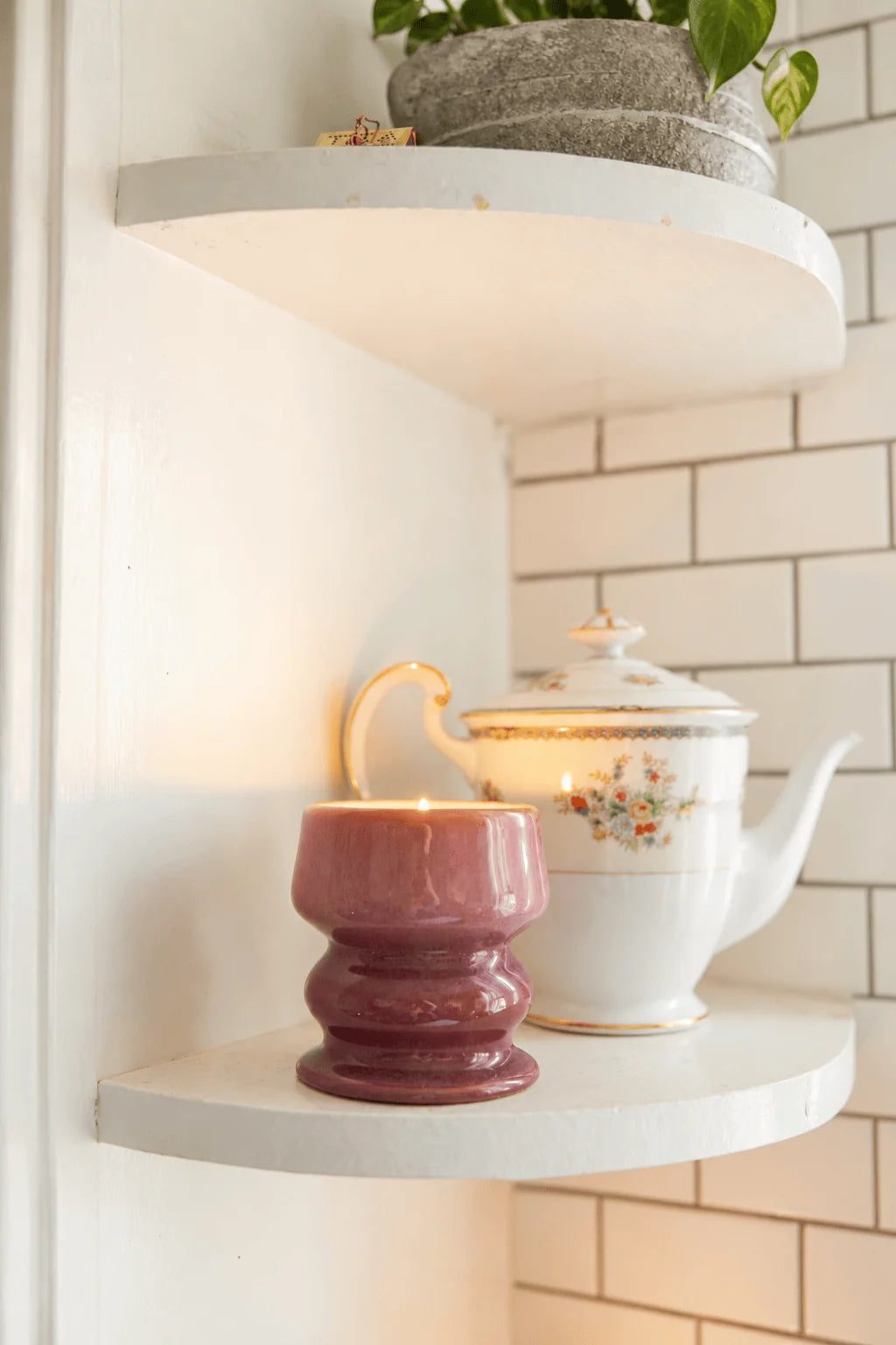 Melt Ceramic Candle - 240 gr. - Wild Fig & Cedar | Paddywax