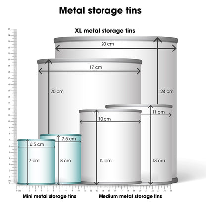 Mini storage tins - set of 2 - fish | Rex