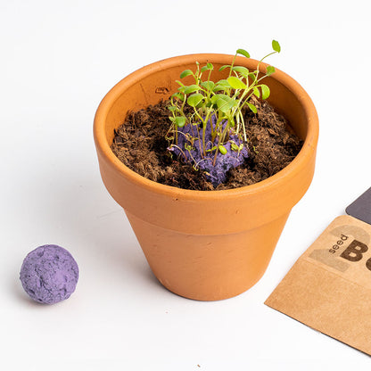 Biodiversity Bombs | Resetea