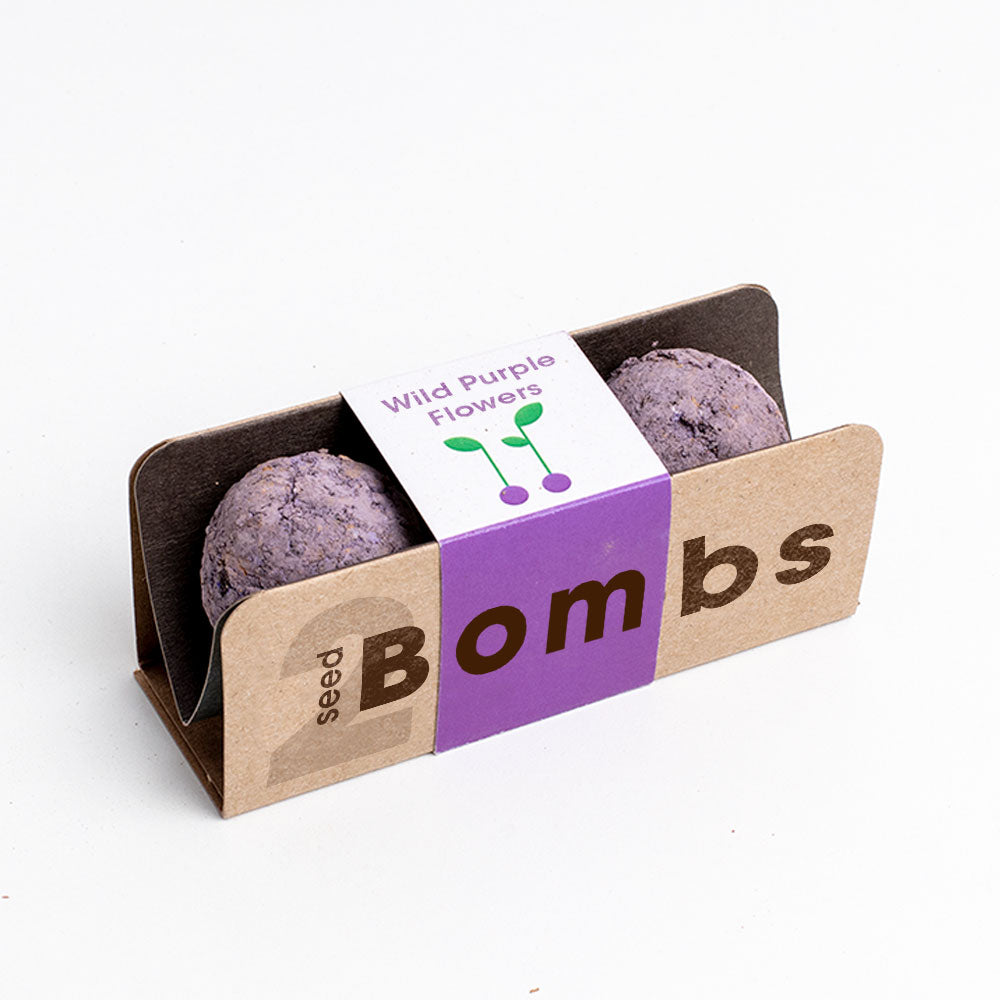 Biodiversity Bombs | Resetea
