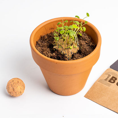 Biodiversity Bombs | Resetea