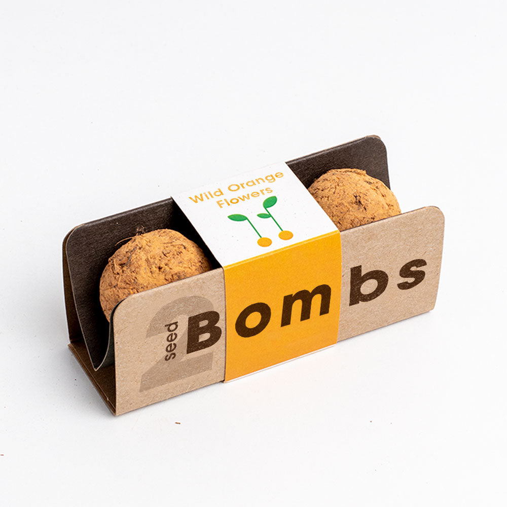 Biodiversity Bombs | Resetea