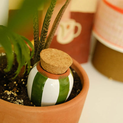 Hydrating Olla - Green | Pepin.