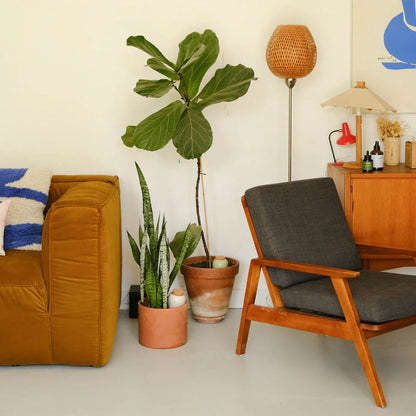 Hydrating Olla - Mustard | Pepin