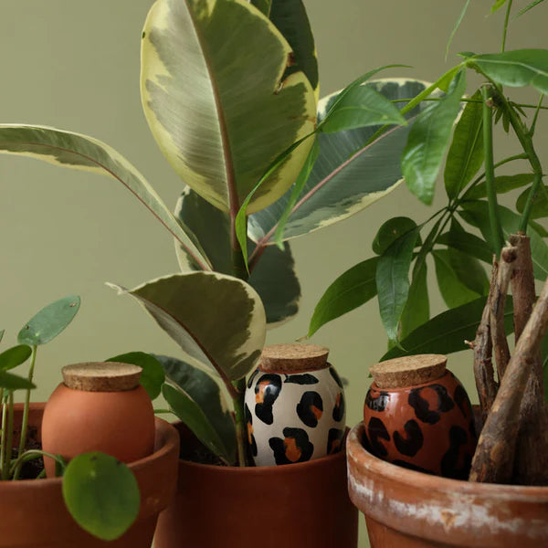 Trio mini Olla - The Leopards | Pepin.