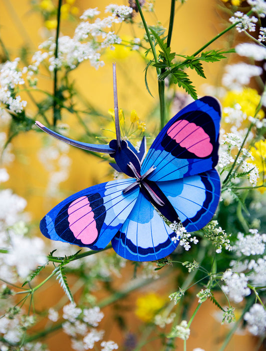 Peacock Butterfly - muurdecoratie | Studio Roof - de inKijk