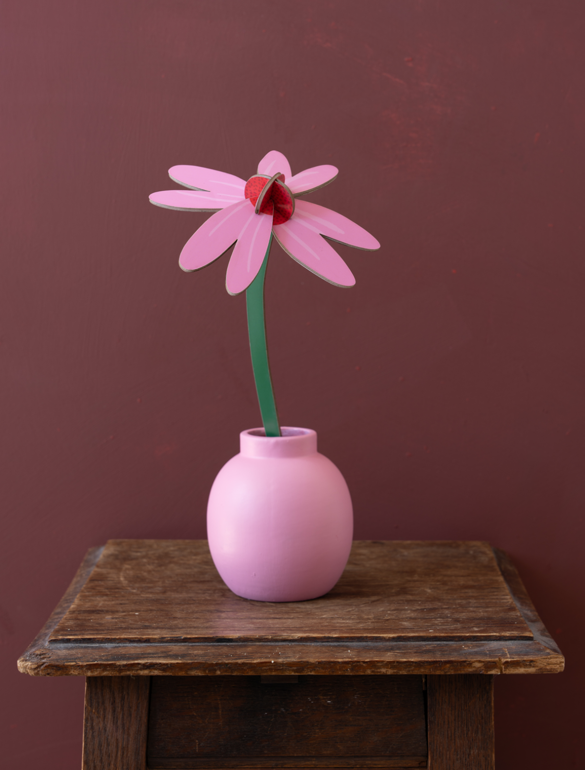 Pink Coneflower - small everlasting flower | Studio Roof