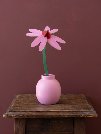 Pink Coneflower - small everlasting flower | Studio Roof