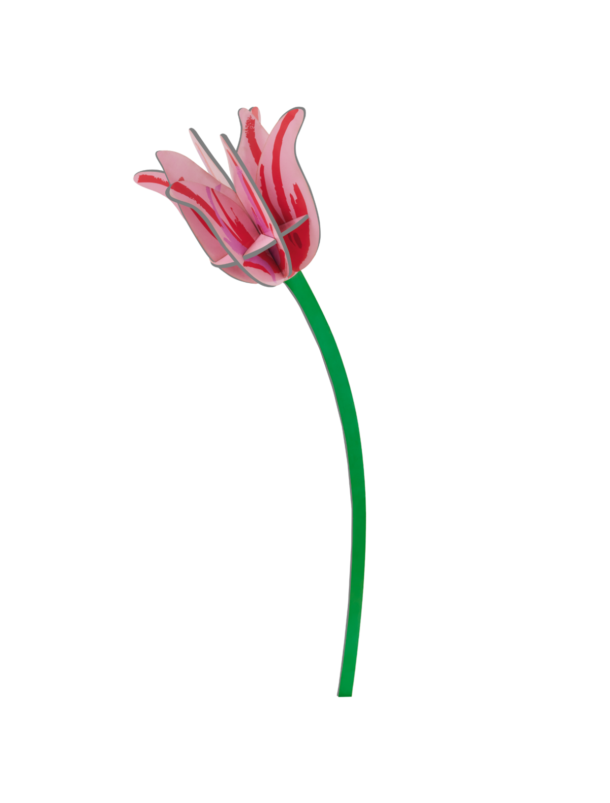 Pink Tulip - everlasting flower | Studio Roof