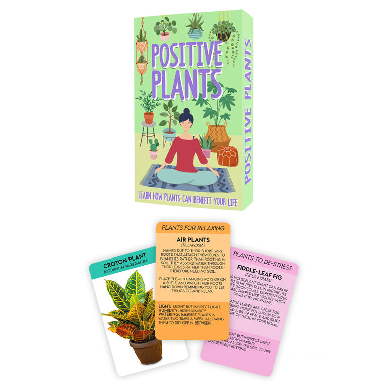 Positive plants | Gift Republic