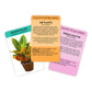 Positive plants | Gift Republic