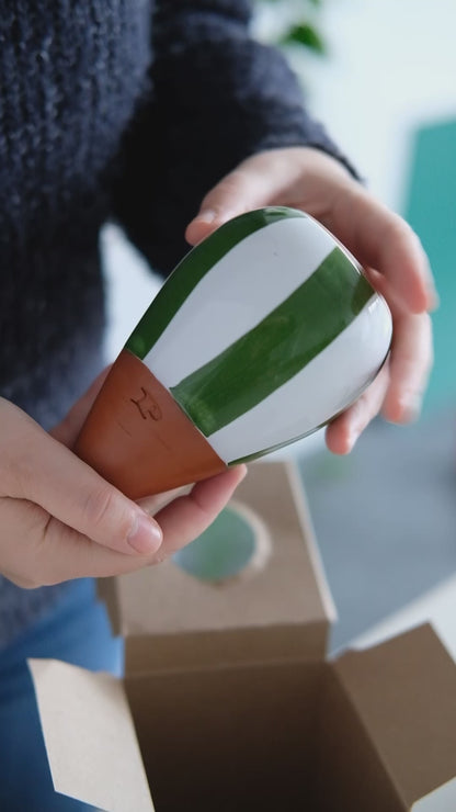 Hydrating Olla - Green | Pepin.