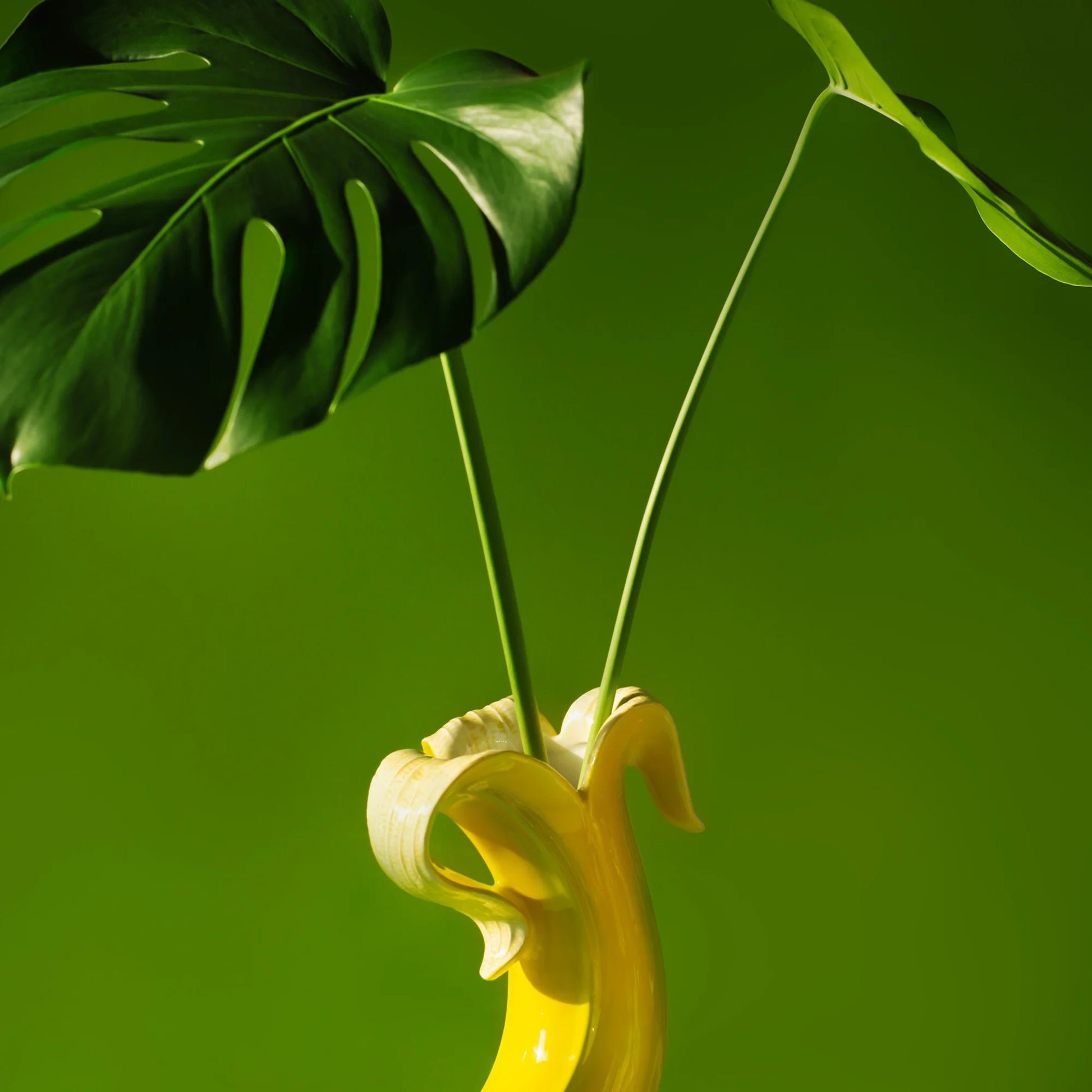 Vase medium - banana romance | Donkey Products - de inKijk