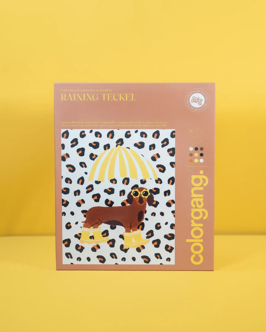 Paint by Numbers - Raining Teckel | Colorgang