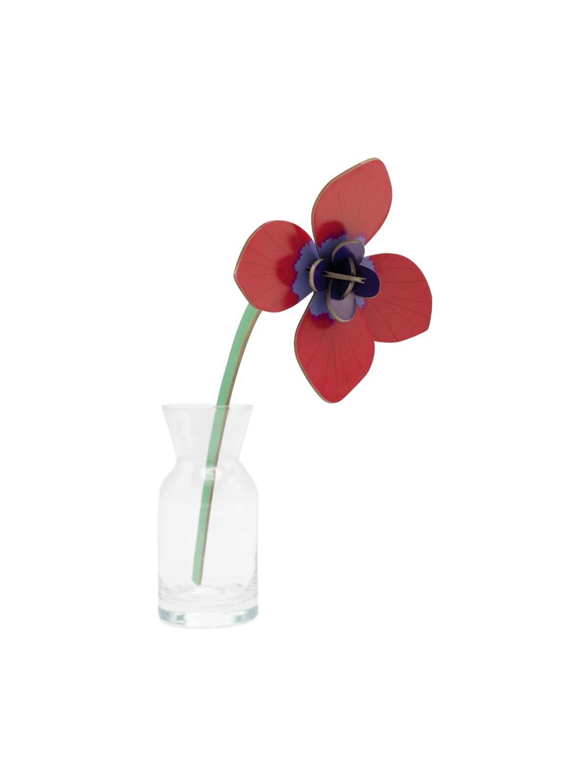 Red Anemone - small everlasting flower | Studio Roof