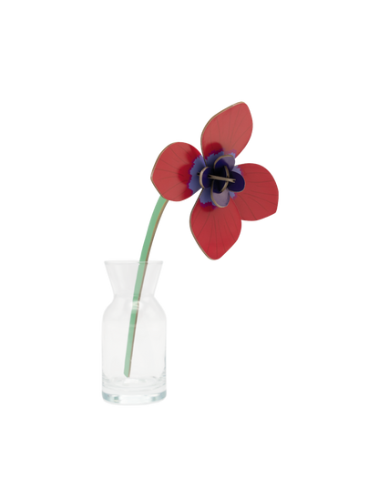 Red Anemone - small everlasting flower | Studio Roof