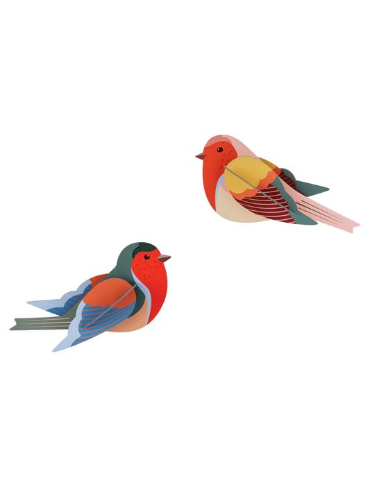 Robins - muurdecoratie | Studio Roof - de inKijk