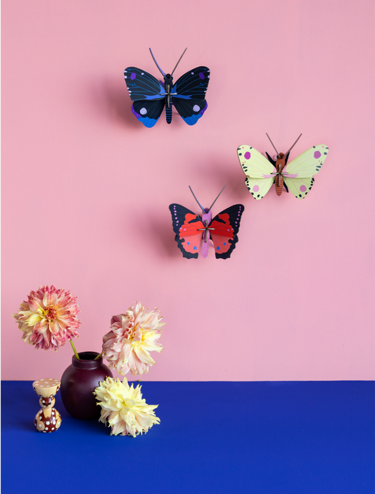 Luzerne Butterfly - wall art | Studio Roof
