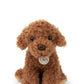 Stacy the Labradoodle in giftbox | B.T.Chaps