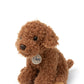 Stacy the Labradoodle in giftbox | B.T.Chaps