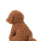 Stacy the Labradoodle in giftbox | B.T.Chaps