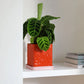 Planter Tribe - red | &Klevering