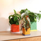 Planter Tribe - red | &Klevering