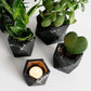 Vand theelicht- en luchtplanthouder - Ø 4,7 cm - black marble | House Raccoon