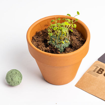 Biodiversity Bombs | Resetea