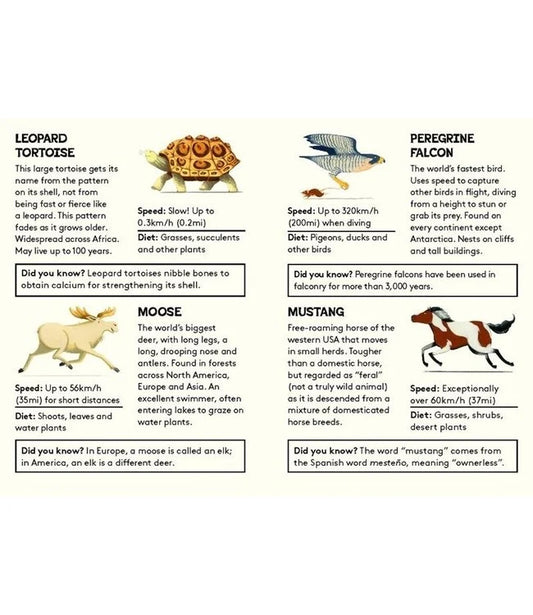 Animal mix&match game - Whose Hooves ? | BISpublishers