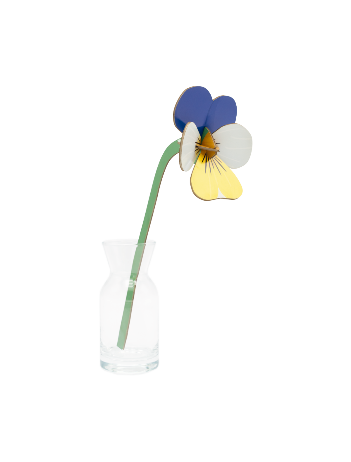 Wild Pansy - small everlasting flower | Studio Roof