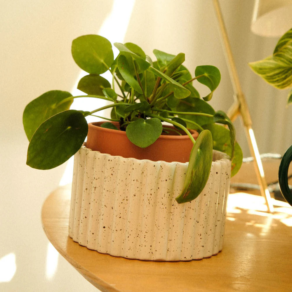 Paula self-watering pot - White Speckled | Pepin