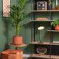 Table lamp office curved - zwart | Leitmotiv - de inKijk