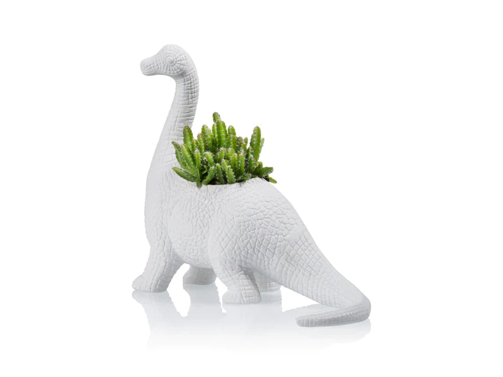 Plantosaurus planter | Bitten design