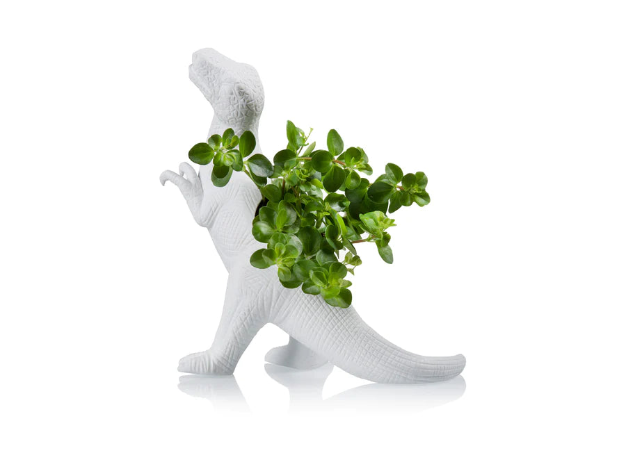 Plantosaurus rex planter | Bitten design